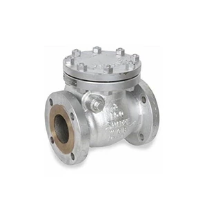 Modular Design Cast Steel Swing Check Valve , WCB Check Valve RF Flange End