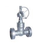 Manual Actuator Duplex Gate Valve , Flow Control Gate Valve For Industrial