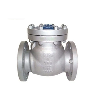 Stainless Steel Wafer Check Valve , Wafer Type Non Return Valve For Water