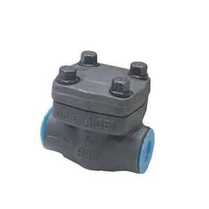 API Standard Lift Type Check Valve , Swing Structure Cryogenic Check Valve