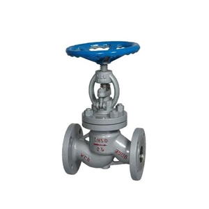 Class 150~1500 Rising Stem Globe Valve BB Bonnet Flange Ends Buttwelding Ends
