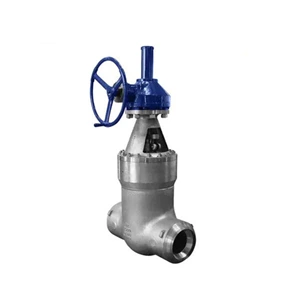 Manual Operate SS Rising Stem Gate Valve , A351 Cn3mn Bolted Bonnet Valve