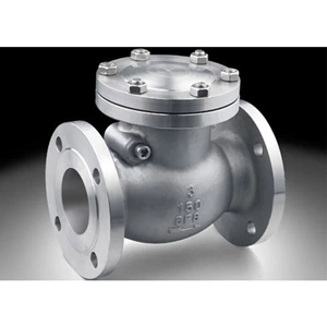 Silent Stainless Steel Swing Check Valve API 6D/ ANSI 16.5 B/ JIS 20K/JIS 10K /DIN