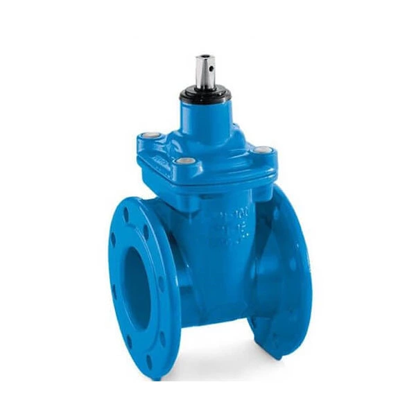 Ductile Iron Cast Gate Valve / Manual Resilient Seated Gate Valve