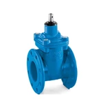 Ductile Iron Cast Gate Valve / Manual Resilient Seated Gate Valve