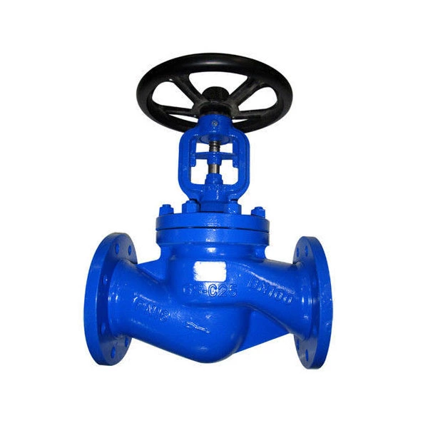 Durable Stainless Steel Globe Valve GS C25 DIN PN16 PN25 Air Steam Bellows Seal