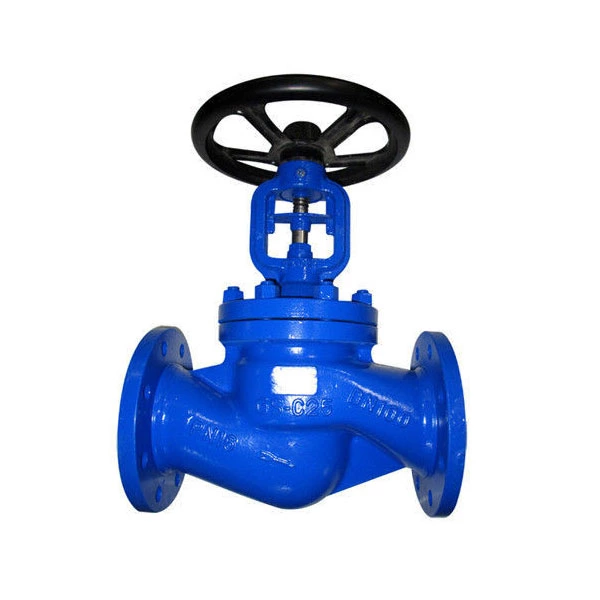 Durable Stainless Steel Globe Valve GS C25 DIN PN16 PN25 Air Steam Bellows Seal
