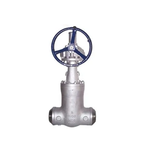 API Flanged Cast Steel Gate Valve No Leakage For Petrochemical Industry