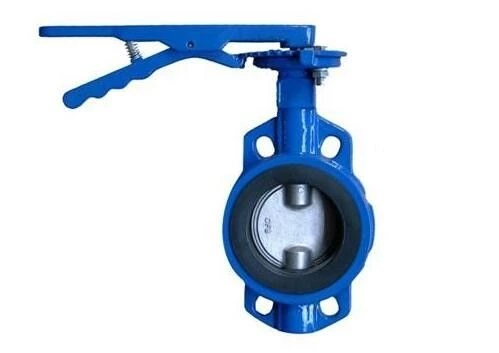 Future Trend of Butterfly Valve in Tianjin
