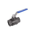 6000 PSI Ball Valve, ASTM A216 WCB, 2 Inch, Seal-Welded, NPT