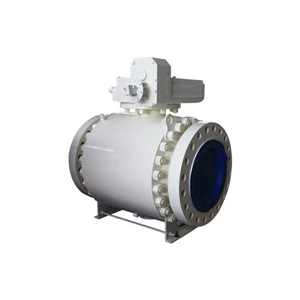 ASTM A105N Trunnion Ball Valves, API 6D, Electric, Custom