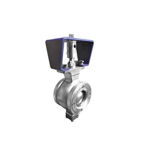 ASTM A351 CF8 Segment Ball Valve, DN200, PN16, 8 IN, 150 LB