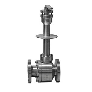 Extended Stem Ball Valve, BS 5351, A182 F304, DN50, PN40, RF