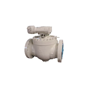 Full Bore Top Entry Ball Valve, API 6D, WCB, 20 Inch, 600 LB