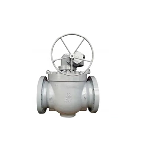 Reduced Bore Top Entry Ball Valve, API 6D, A216 WCB, 10*8 IN