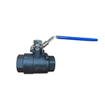 Seal-Welded Ball Valves, ASTM A216 WCB, 1 IN, 2000 PSI, NPT