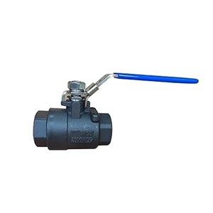 Seal-Welded Ball Valves, ASTM A216 WCB, 1 IN, 2000 PSI, NPT